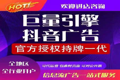 SEM代理操作技巧：成功案例揭秘